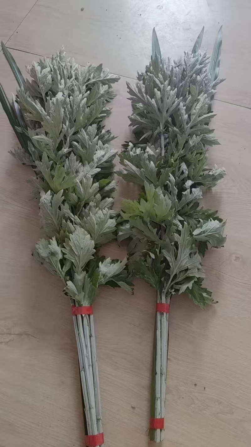 端午节鲜艾草，艾草，艾草花束，产地直销，全程冷链配送