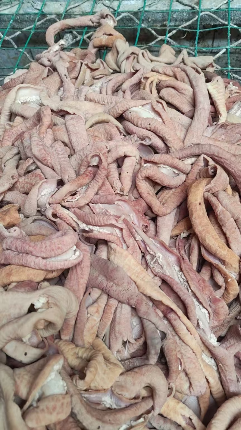 半成品开边去油牛肠，牛大肠，牛小肠，圆肠，冷链物流发货，