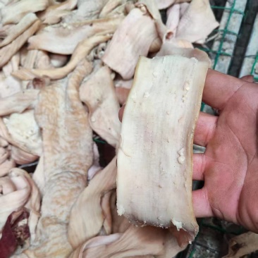 半成品开边去油牛肠，牛大肠，牛小肠，圆肠，冷链物流发货，