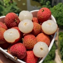 云南玉溪水东荔枝大量上货口感细腻丰富欢迎来电咨询