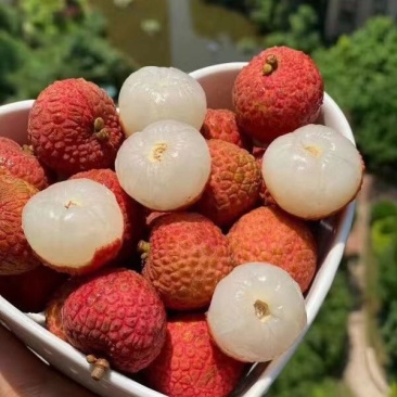 云南玉溪水东荔枝大量上货口感细腻丰富欢迎来电咨询