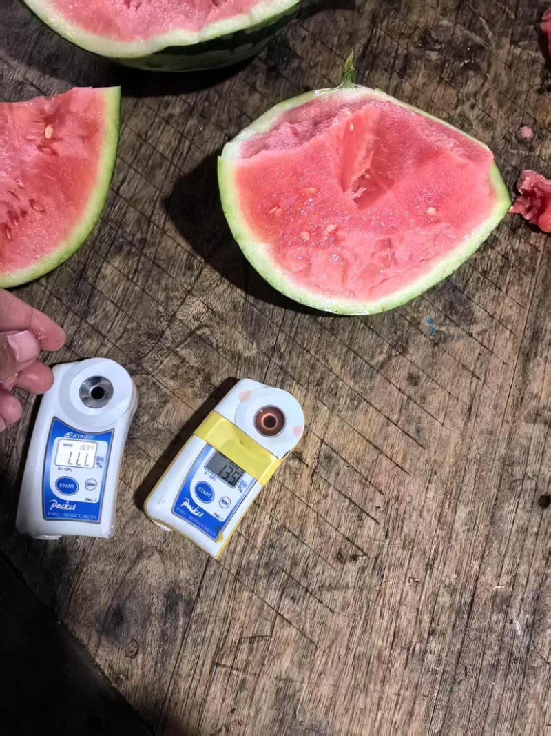 东台美都西瓜甘美4k大量上市，量大货优欢迎采购