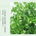 精品荷兰豆，自己有50亩地，电商货，精品货，代发，