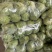 精品大头菜大量现货对接全国各批发市场加工厂