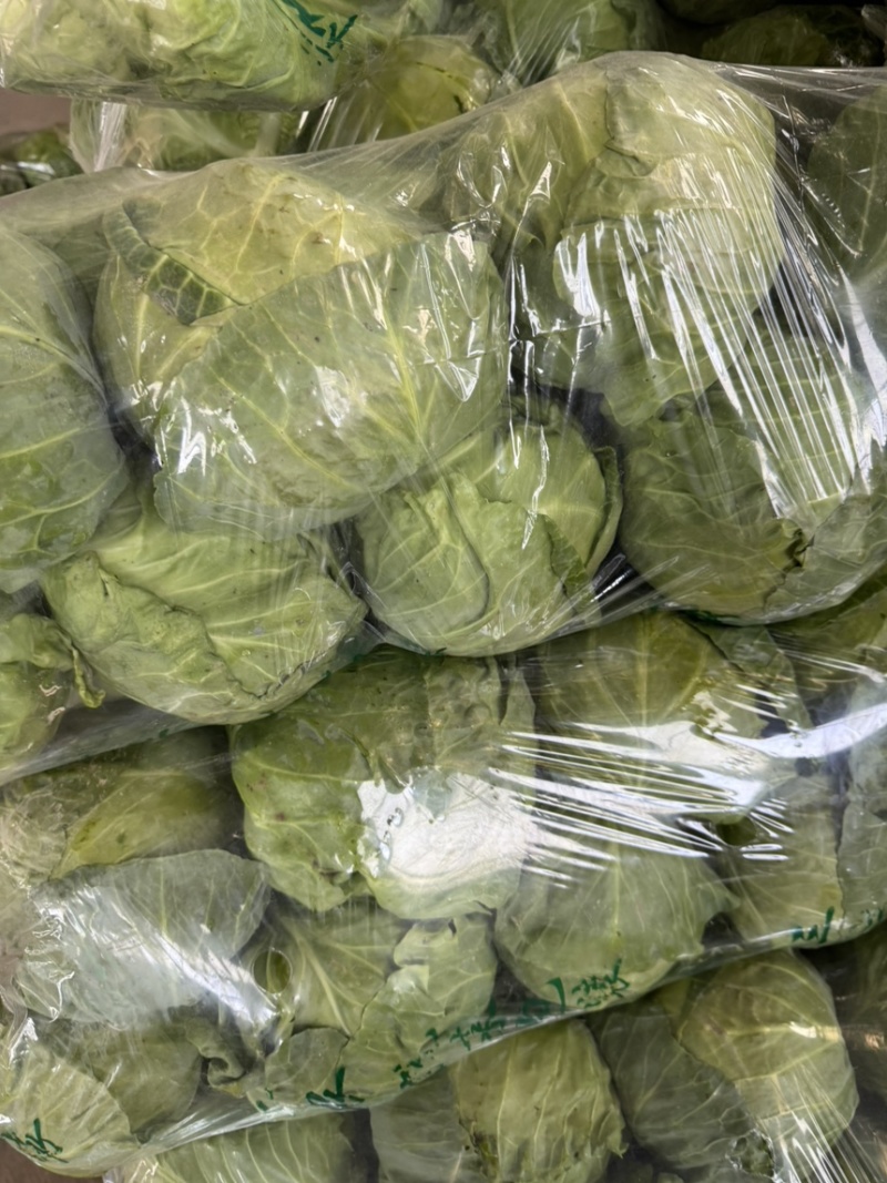 精品大头菜大量现货对接全国各批发市场加工厂