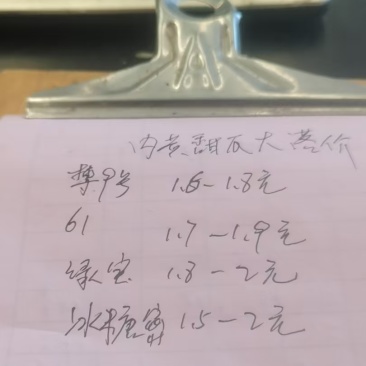 博洋61.花美人，博洋9.绿宝，玉菇.特价活动