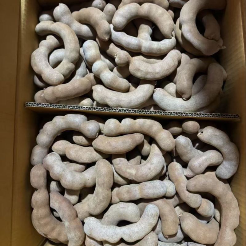 酸甜角大弯角需要得直接联系清库存今年新货全国发货