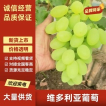 精品维多利亚葡萄，青提葡萄，产地直供电商，市场，商超货