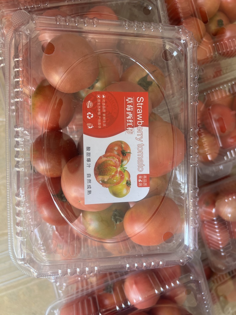 北京通州永乐店自产草莓西红柿