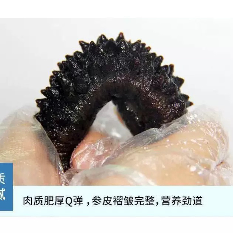 土耳其米刺无刺海参淡干干货希腊海参批发