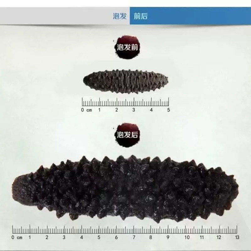 土耳其米刺无刺海参淡干干货希腊海参批发