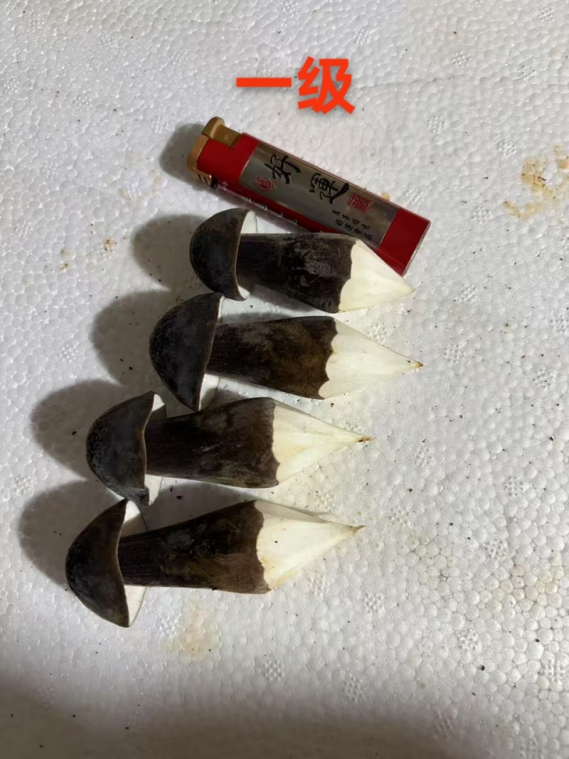 黑皮鸡枞种植基地