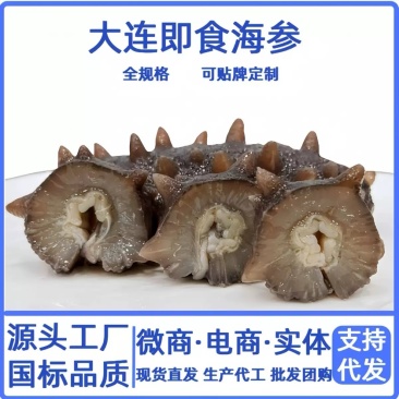 现货大连即食海参鲜食规格全批发