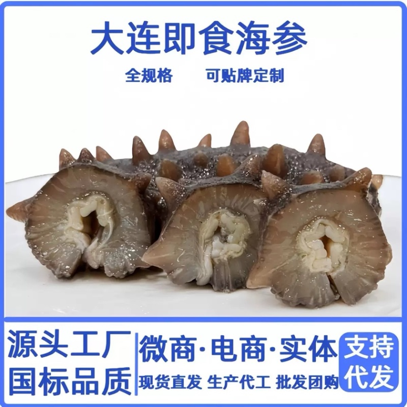 现货大连即食海参鲜食规格全批发
