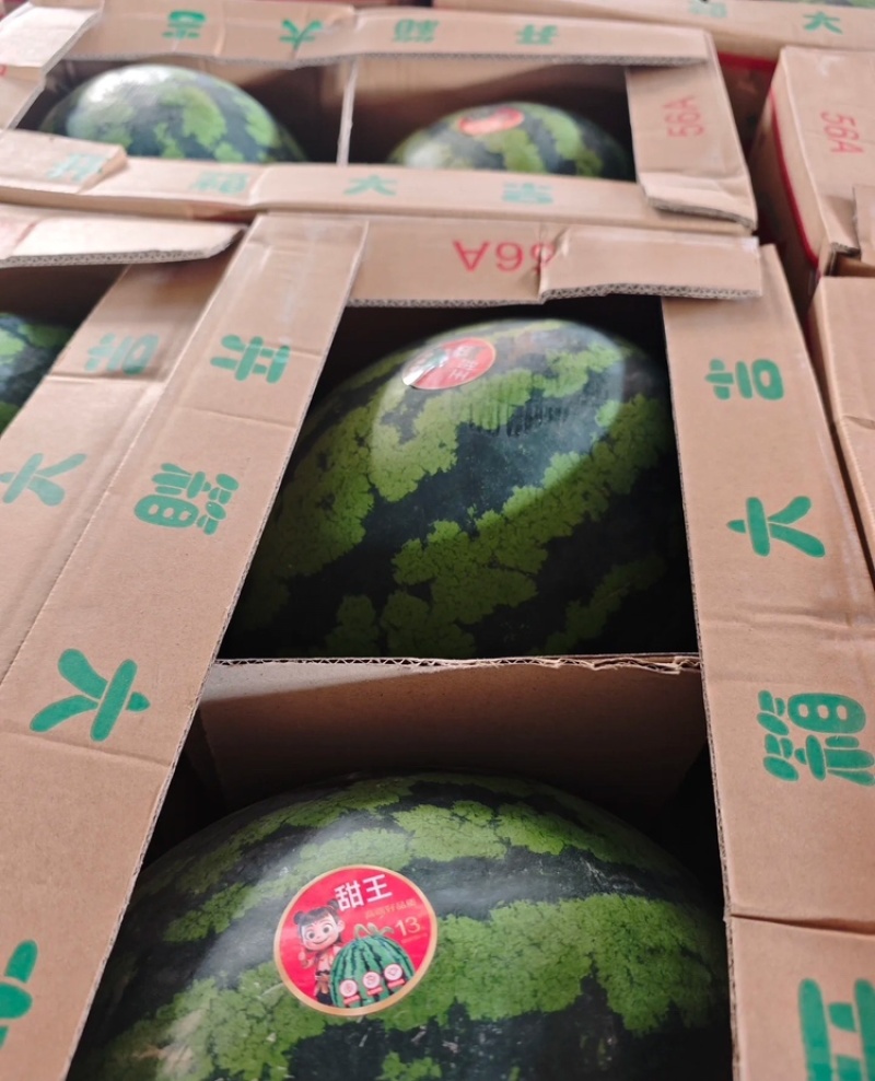 【实力供货】甜王西瓜陕西西瓜货源充足商超品质全国发货