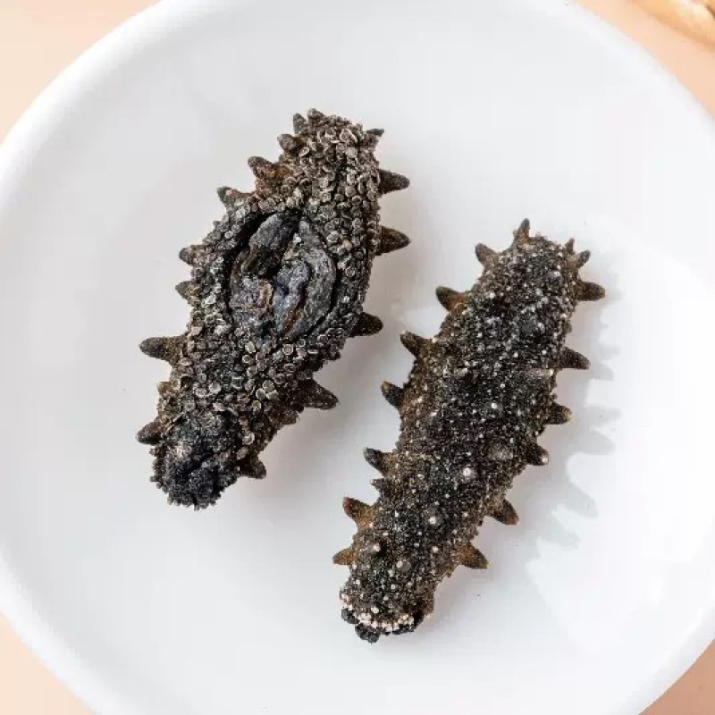 大连纯淡干海参