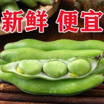 新鲜蚕豆，电商，商场，超市，电商代发，一件代发