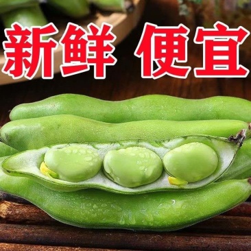 新鲜蚕豆，电商，商场，超市，电商代发，一件代发