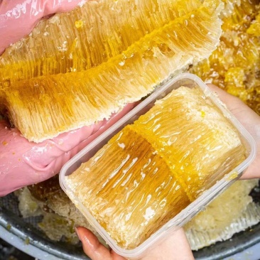 云南野生蜂蜜深山直采自然成熟先尝后买