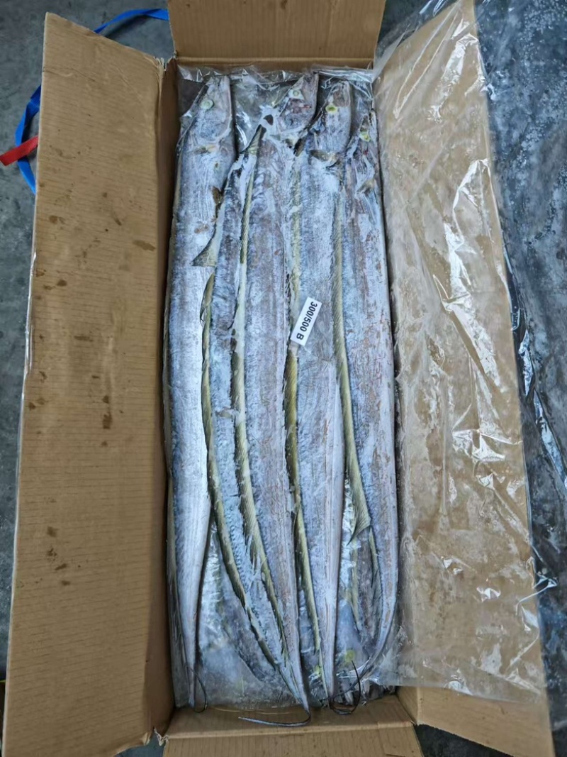 带鱼300/500。500/700B带