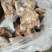 去骨熟牛蹄，清水煮都带着大主筋，单个真空包装