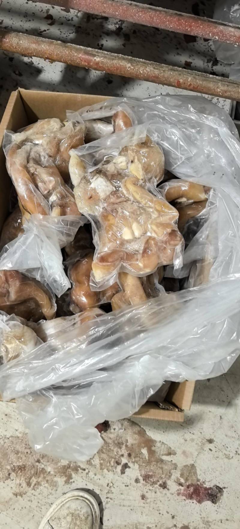 去骨熟牛蹄，清水煮都带着大主筋，单个真空包装