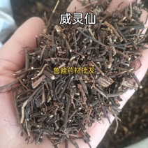 威灵仙灵仙净货实物实拍批发各种中药材量大优惠