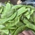【量大优惠】淮安绿扁豆品质保障对接批发电商商超