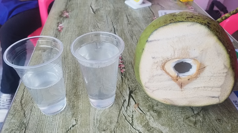 海南文昌椰青