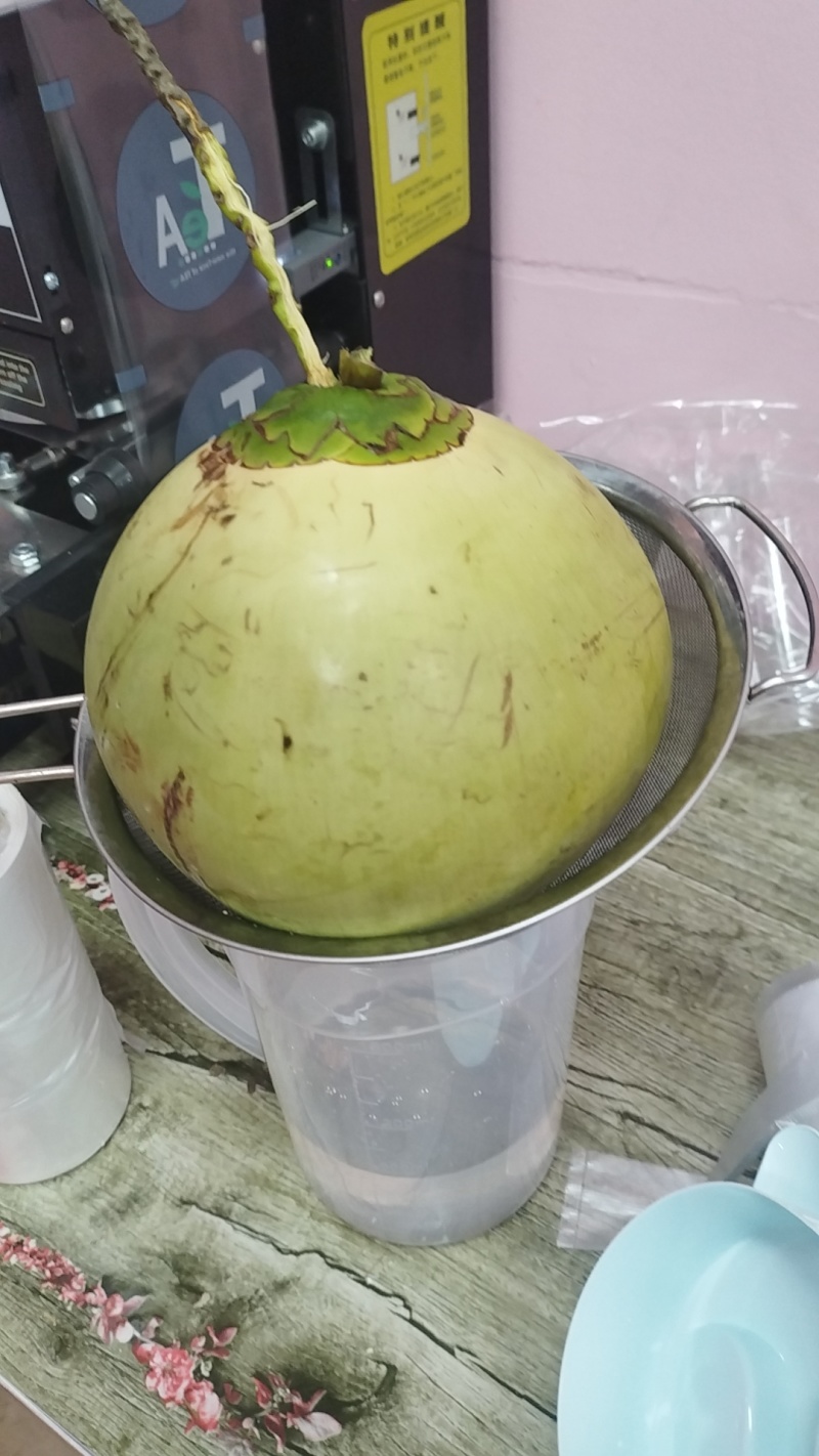海南文昌椰青