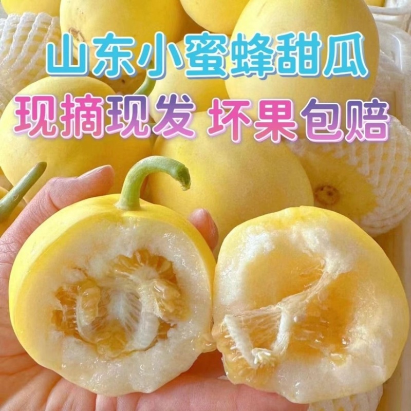 山东小蜜蜂甜瓜阎良甜瓜小糖丸一件代发抖音快手视频号队里