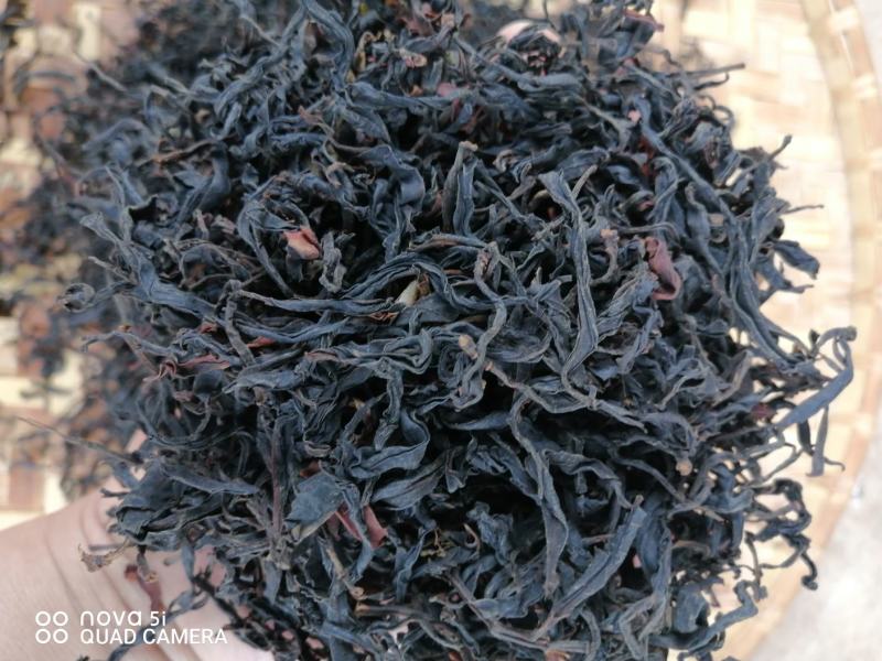 古树茶