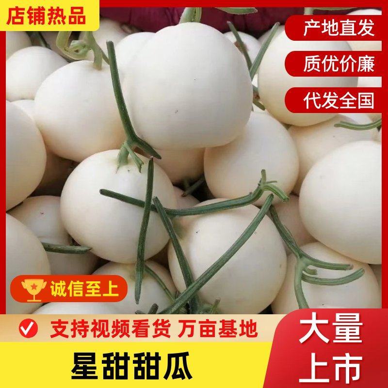 【推荐】星甜甜瓜新鲜采摘质量保证量大从优诚信经营精诚合作