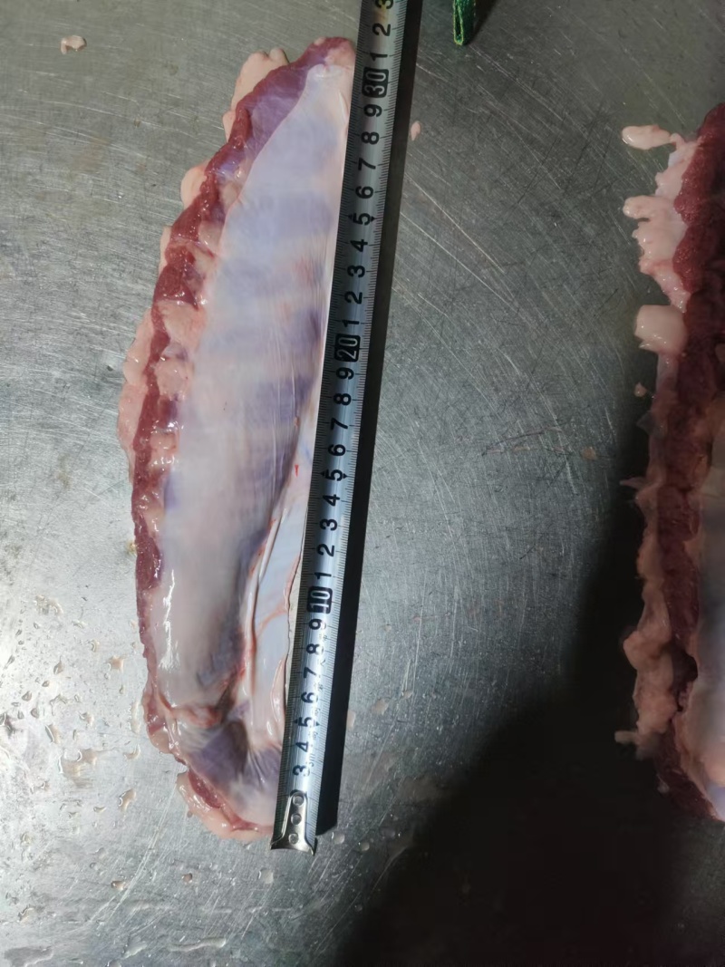 【烤猪油边】油边，精品大油边