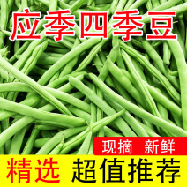 优质四季豆扁芸豆豆角新鲜批发无筋架豆王整箱