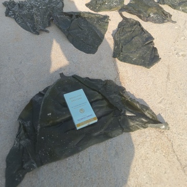 山东半干海带头全国发货，赶大集，地摊货，专用一次合作终身