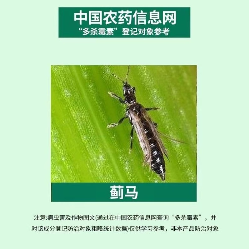 贵合诺顿5%多杀霉素悬浮剂节瓜蓟马专用药农药杀虫剂