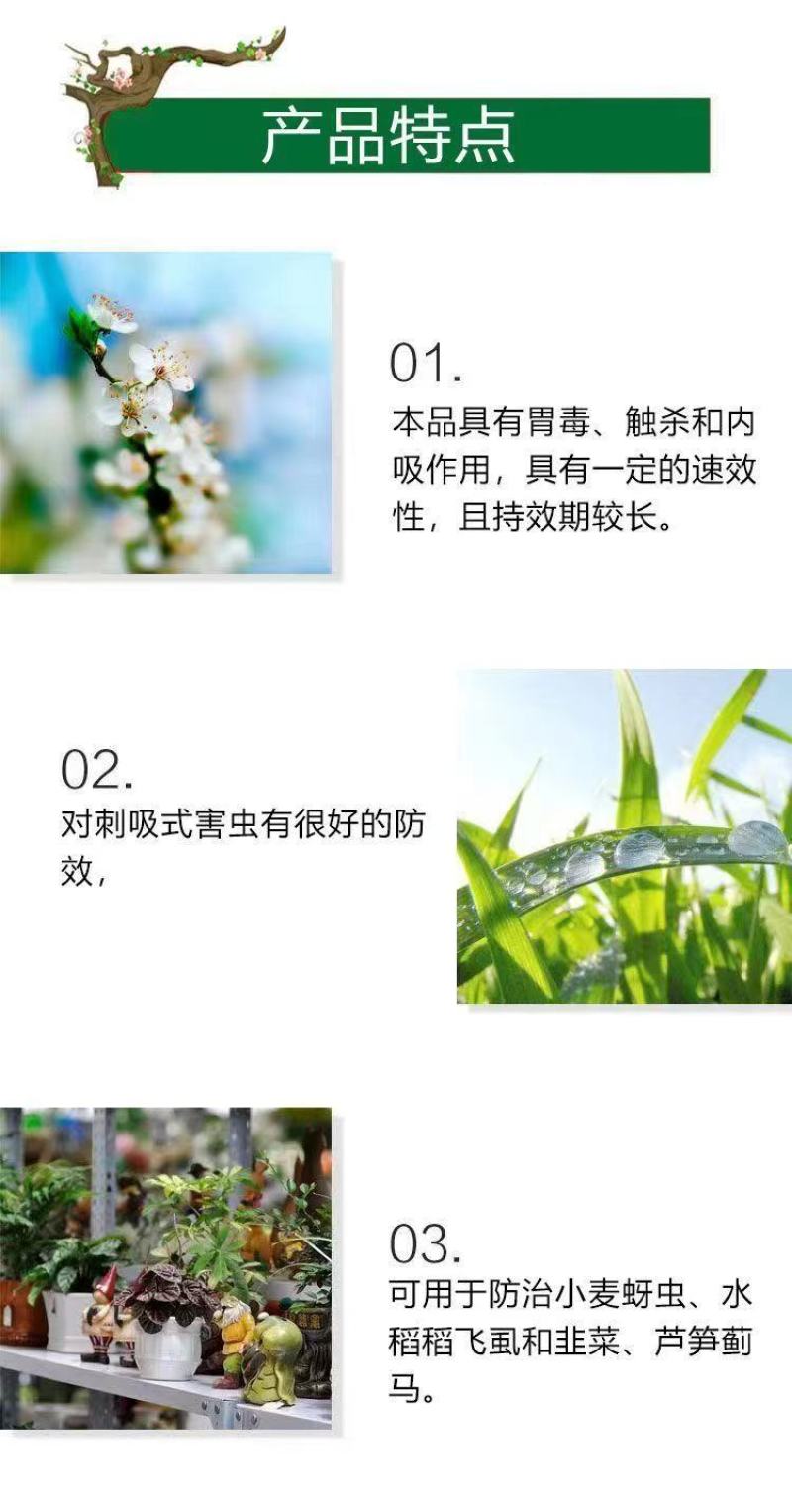 70%噻虫嗪果树蔬菜杀虫剂小麦蚜虫红蜘蛛蓟马稻飞虱