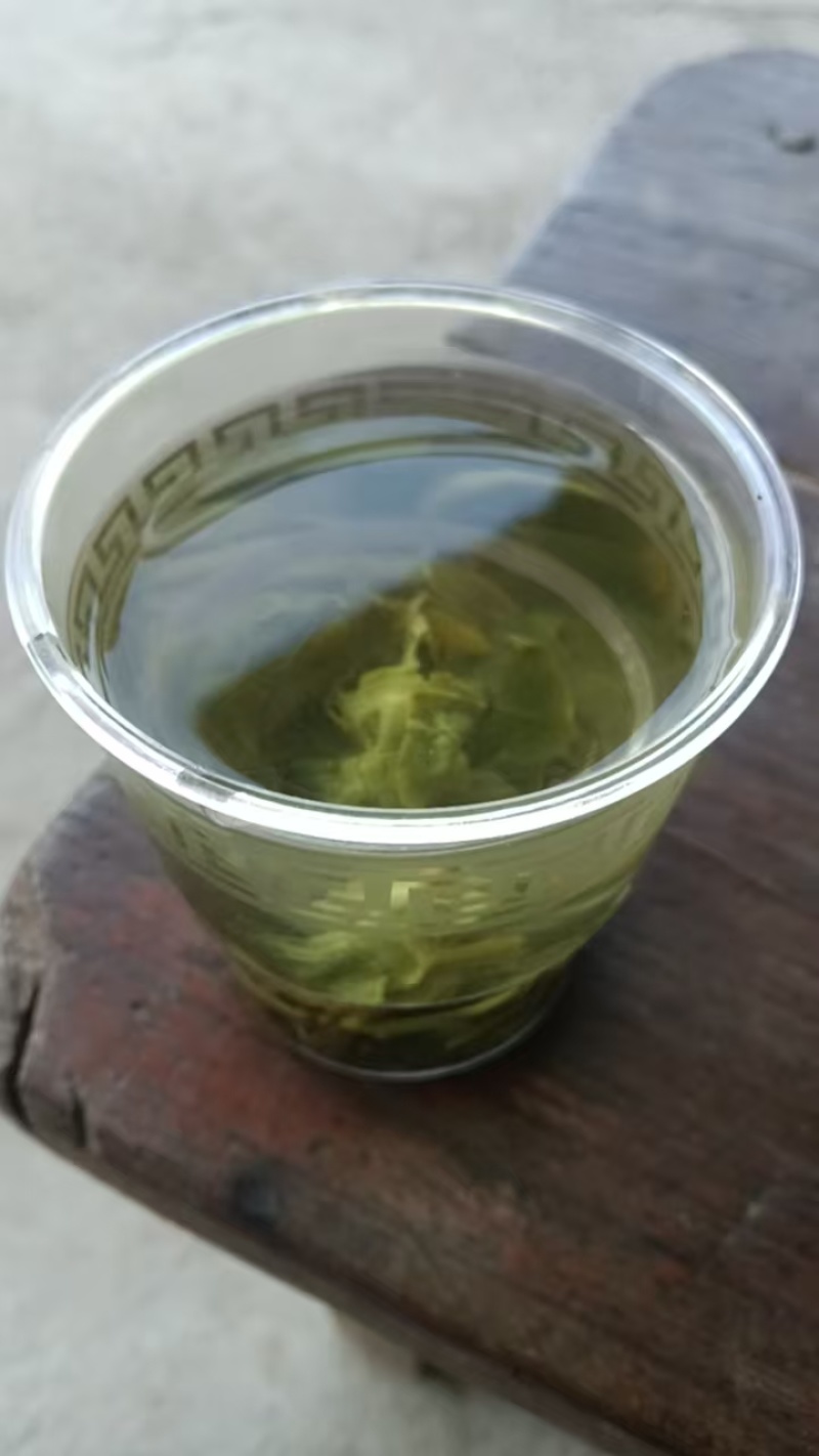 广西高山云雾茶产地采摘，晒干精选货供超市电商批发全国发