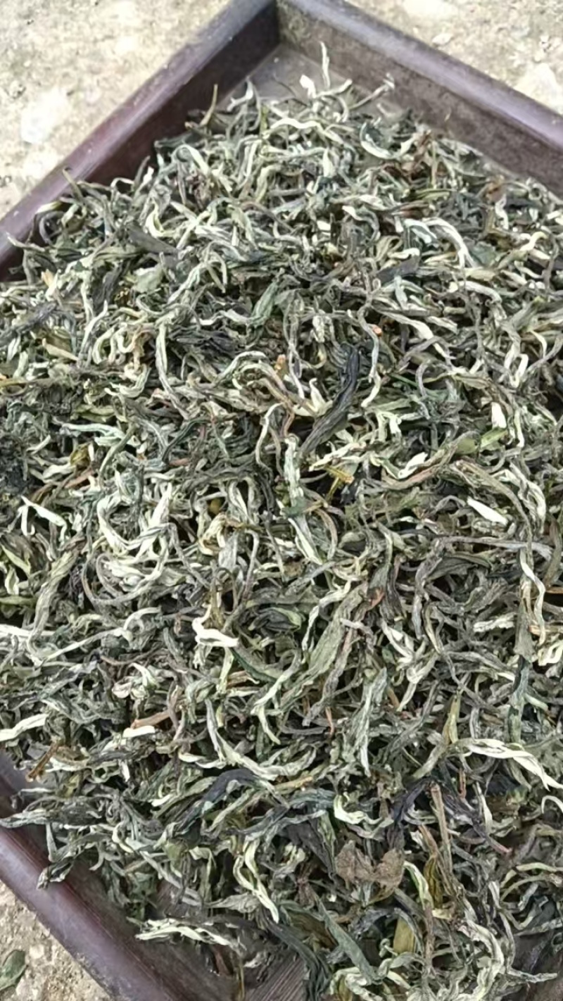 广西高山云雾茶叶产地直供大量有货，质量保证一手货源