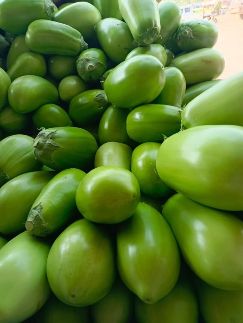 【精品青茄】河南安阳产地直发质量保证规格齐全一手货源