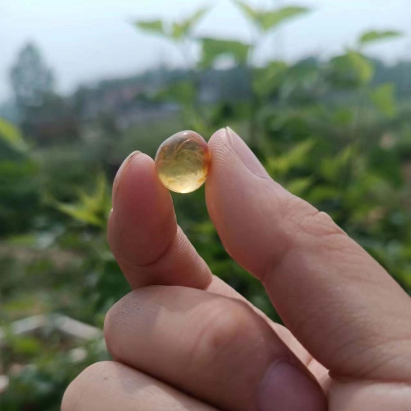 桃胶产地各种规格齐全品质精品