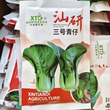 新品耐热青菜仔新鲜农家蔬菜小青菜小油菜青菜种子软糯清甜