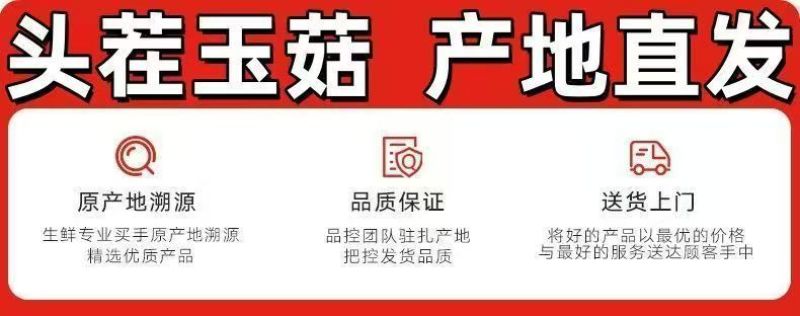 莘县玉菇甜瓜大量上市保熟保甜，品质保证价格合理全国发货