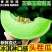莘县玉菇甜瓜大量上市保熟保甜，品质保证价格合理全国发货