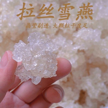 拉丝雪燕5A大颗粒全爆米花雪燕植物燕窝***更放心批发代