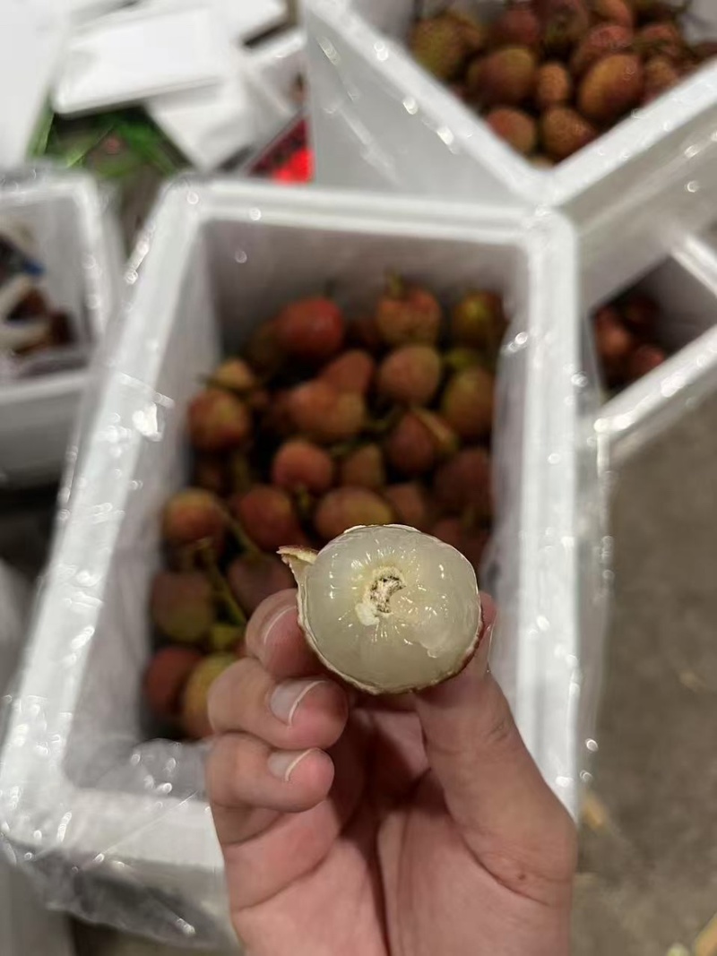 海南桂花香荔枝，支持一件代发顺丰京东空运