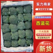 河南西兰花蘑菇型小米粒高品质货源市场团购批发