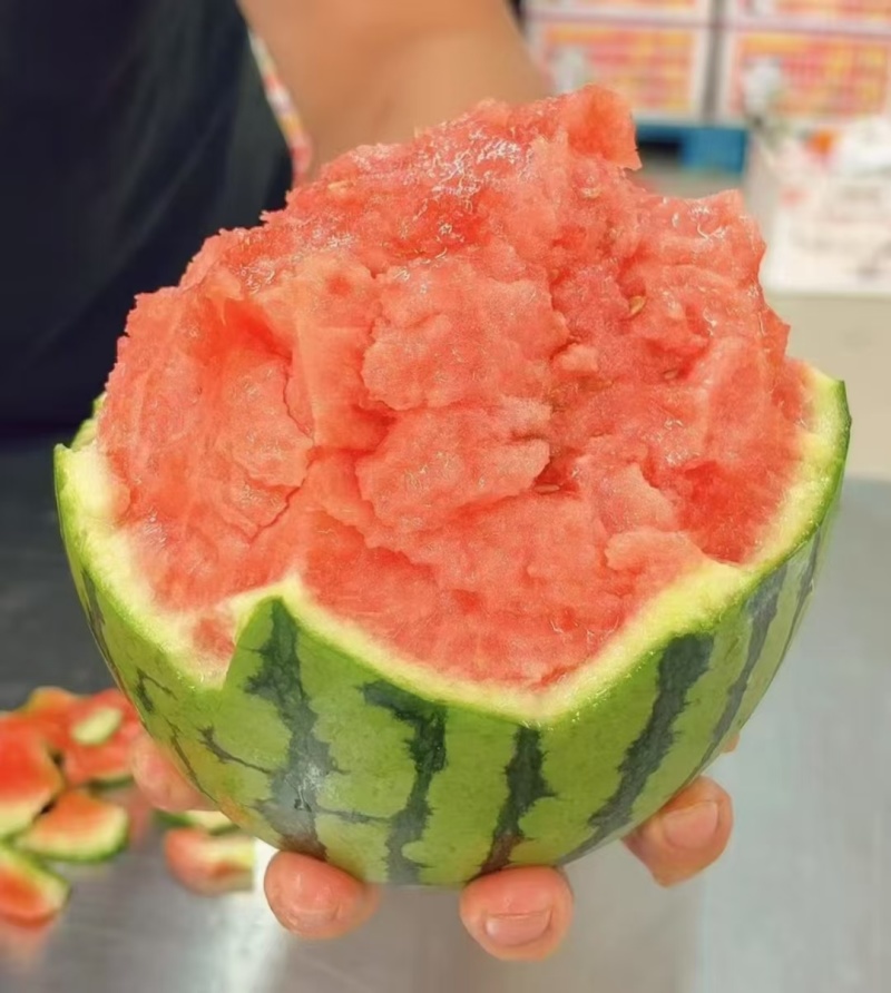全美2KL600冰糖子小糖丸西瓜皮薄汁甜产地发货