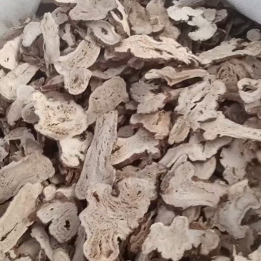 白术片批发中药材麸炒白术二年蜂窝眼白术含量无忧***50